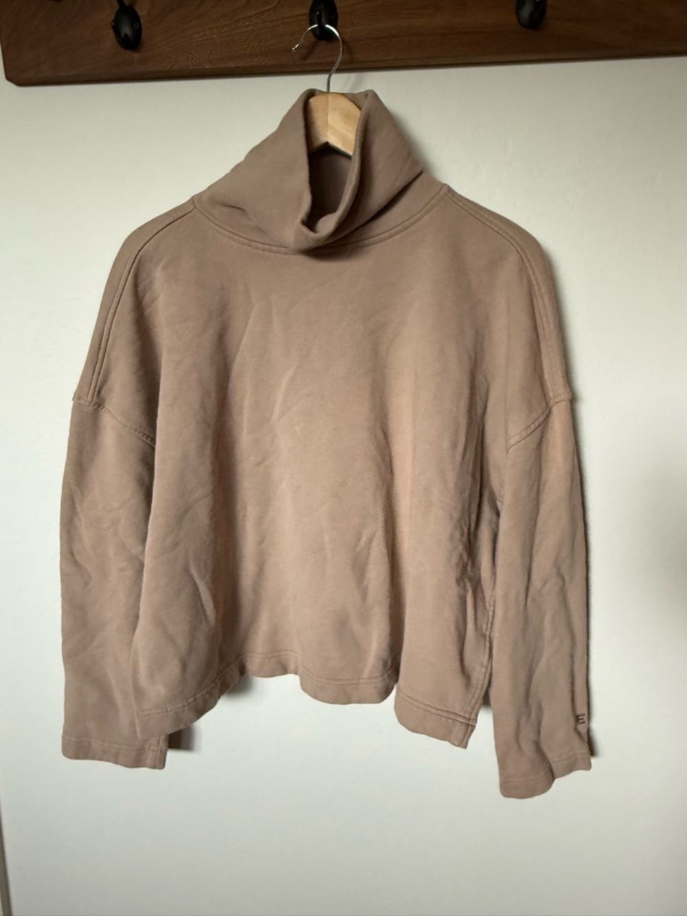 Everlane Cropped Turtleneck Sweater in Taupe